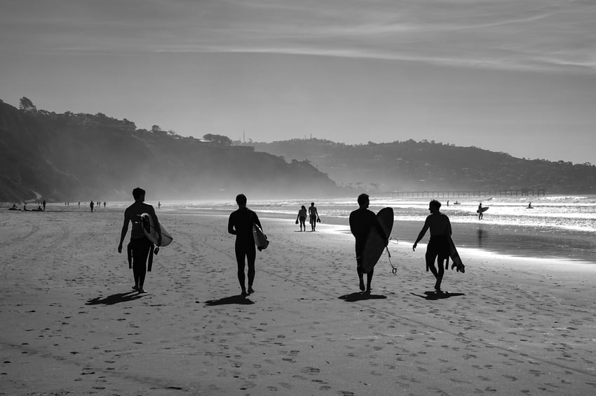 Group of surfers