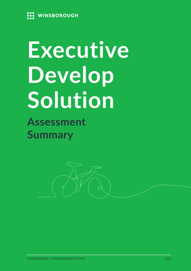 WNZ024 Product Brochures_Executive Develop Solution V3.1-1