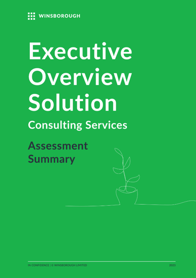 WNZ024 Product Brochures_Executive Overview Solution V4